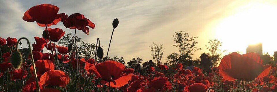 _Polyaaa_'s profile banner image