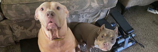 King_AIR4 Profile Banner