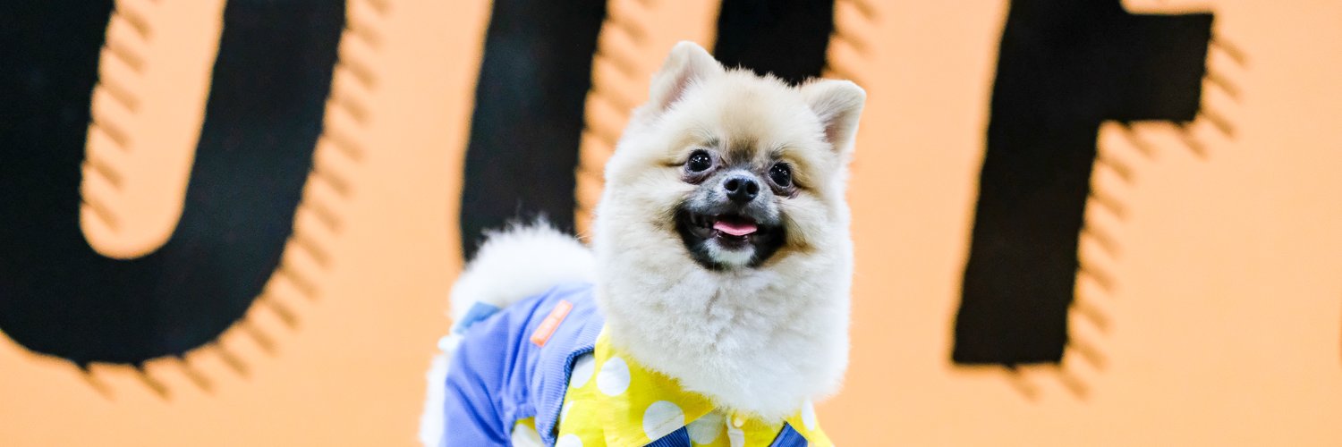 tyanbaek's profile banner image
