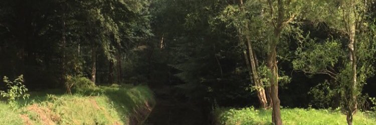 fairlylaura's profile banner image