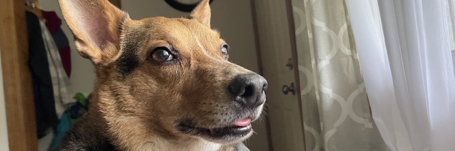 SeanJFalcon's profile banner image