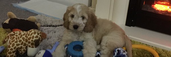 fredss33 Profile Banner