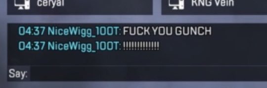 Gunch F1 banner