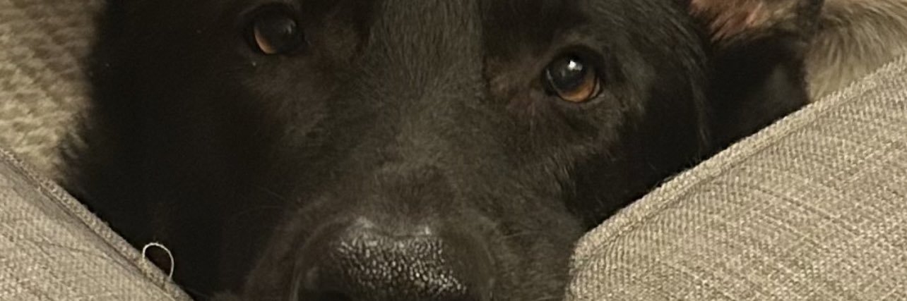 RMFIII's profile banner image