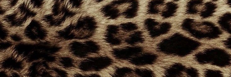 lnzmxo's profile banner image