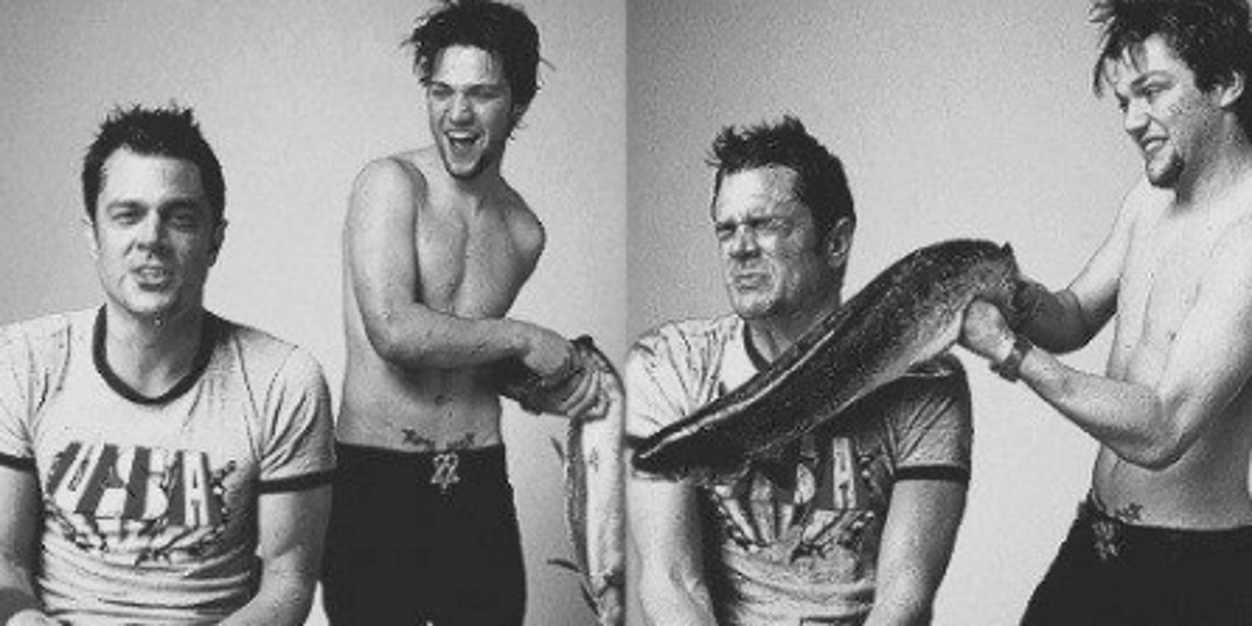 __dibs banner