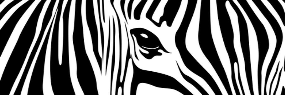 StanZylinski's profile banner image