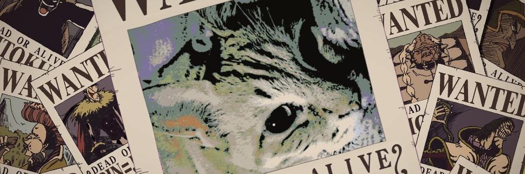 mikopega's profile banner image