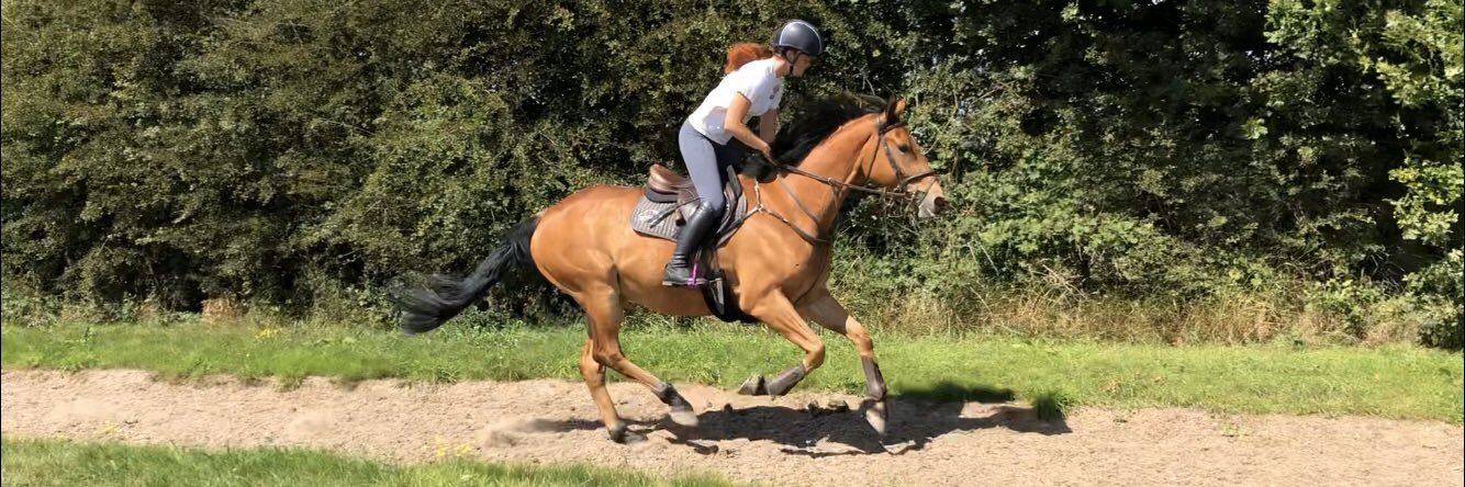 JC_Eventing's profile banner image