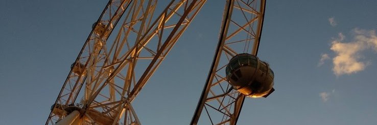 Febria Roo banner