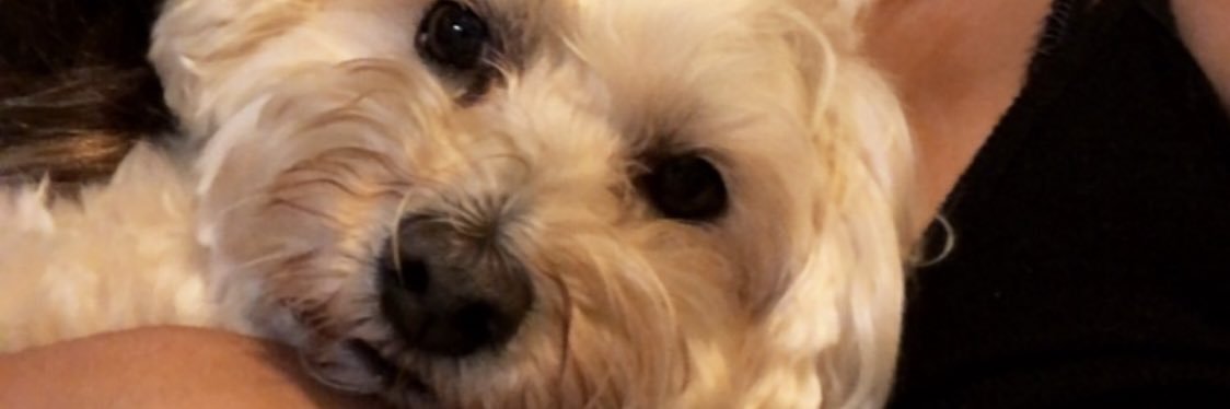 _BellaIsaaa's profile banner image