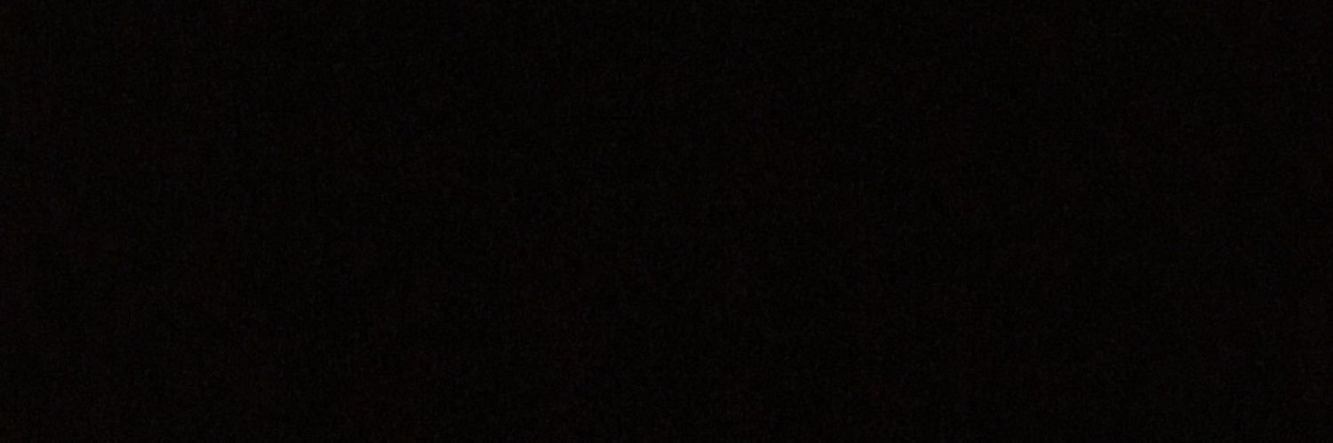 Nik Nehls banner