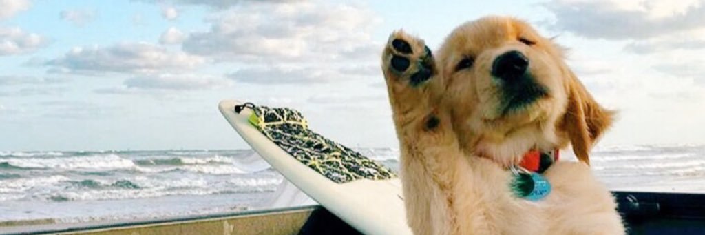 Katiejay_14's profile banner image
