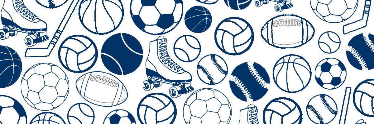 Consell Esportiu d'Osona banner