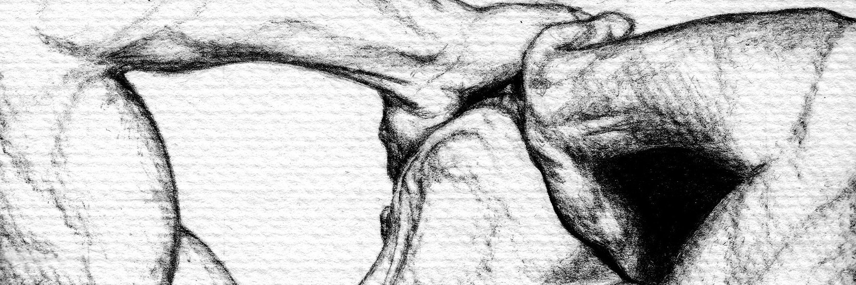 marcoett's profile banner image