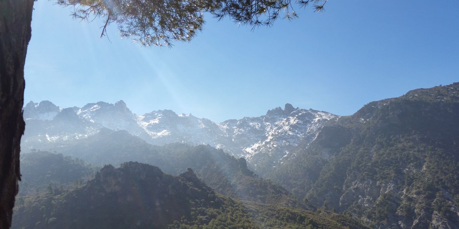 PisandoSendas's profile banner image