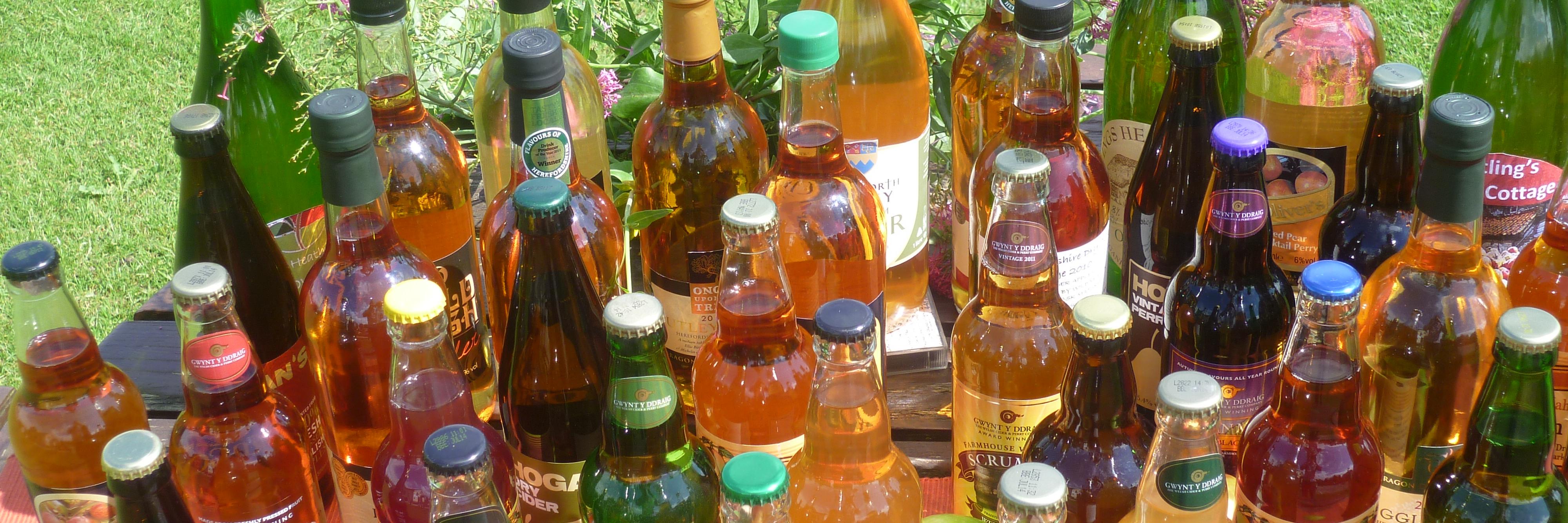 cider_insider's profile banner image