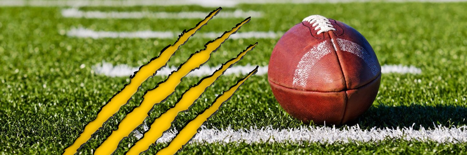 NSMF North Surrey banner