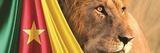 𝓥𝓮𝓻𝓪 𝓸𝓻𝓸𝓬𝓴🇨🇲 banner