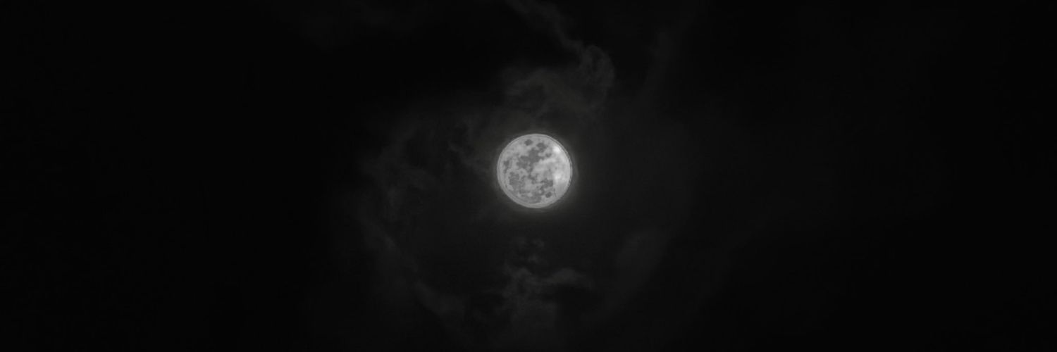 RAY™ banner