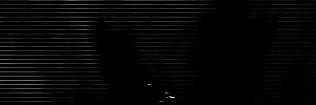 Alive banner