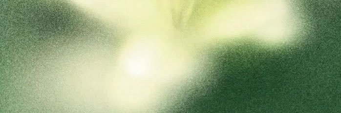 _gabsch's profile banner image