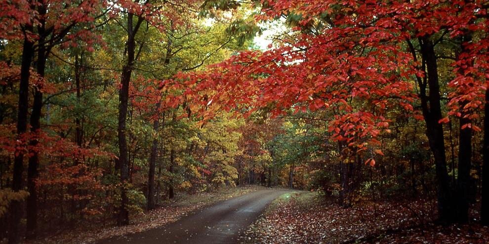 The Test Slayer banner