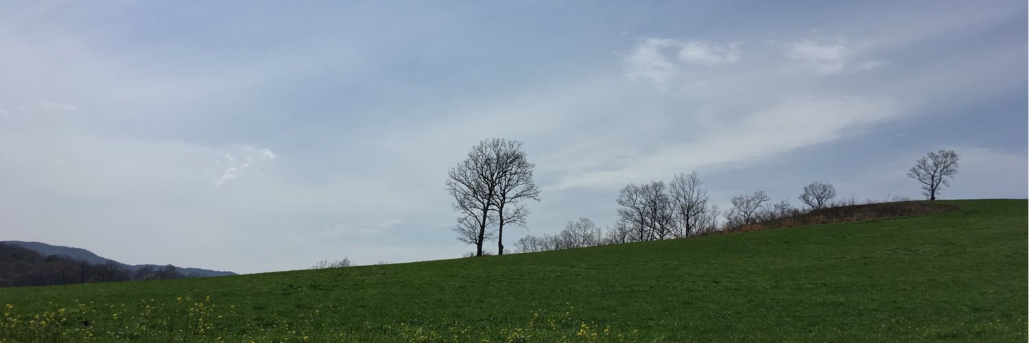 tomomisdiary's profile banner image