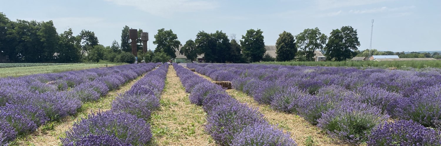 Владислав Шереметьев banner