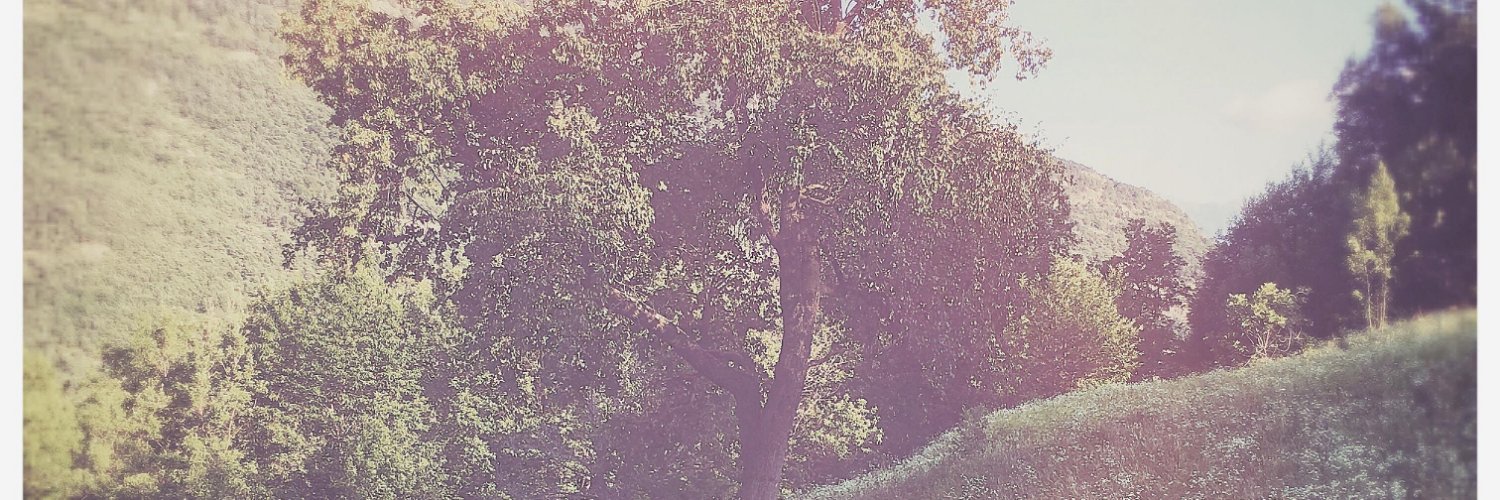 Taeotw's profile banner image