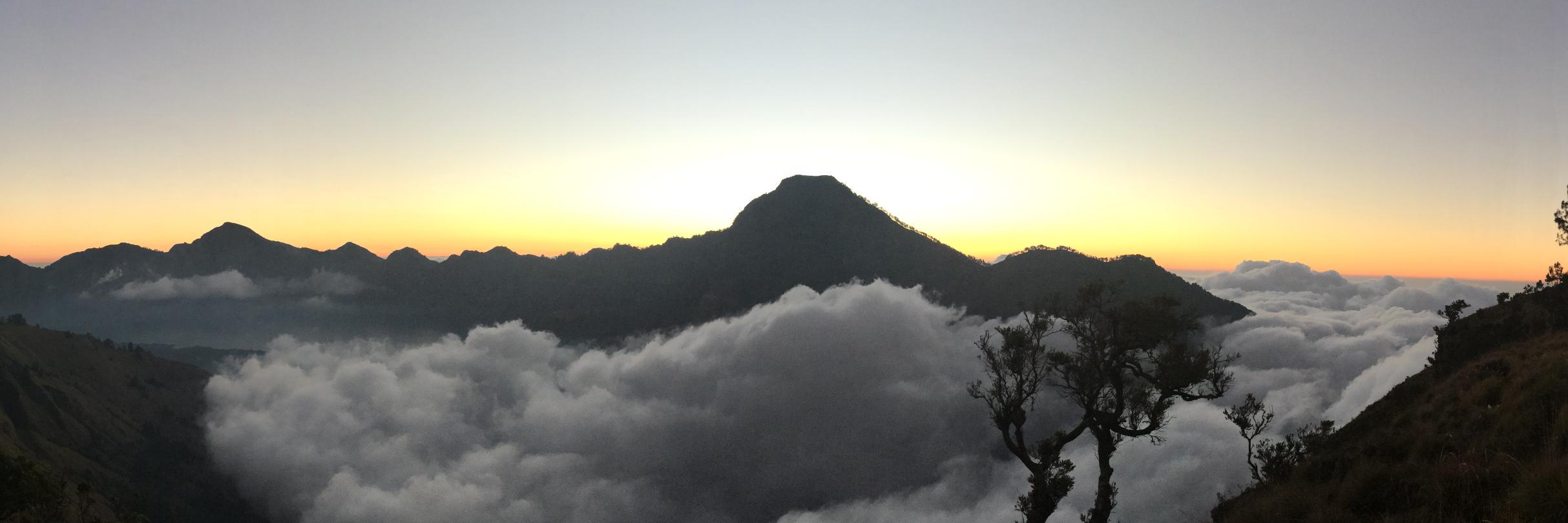 Frank Bennett banner