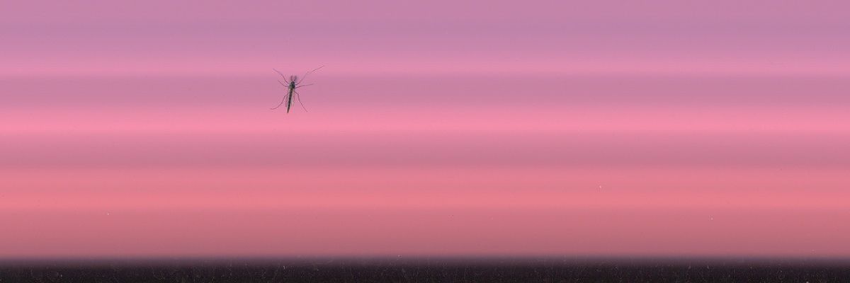 kristavdw's profile banner image