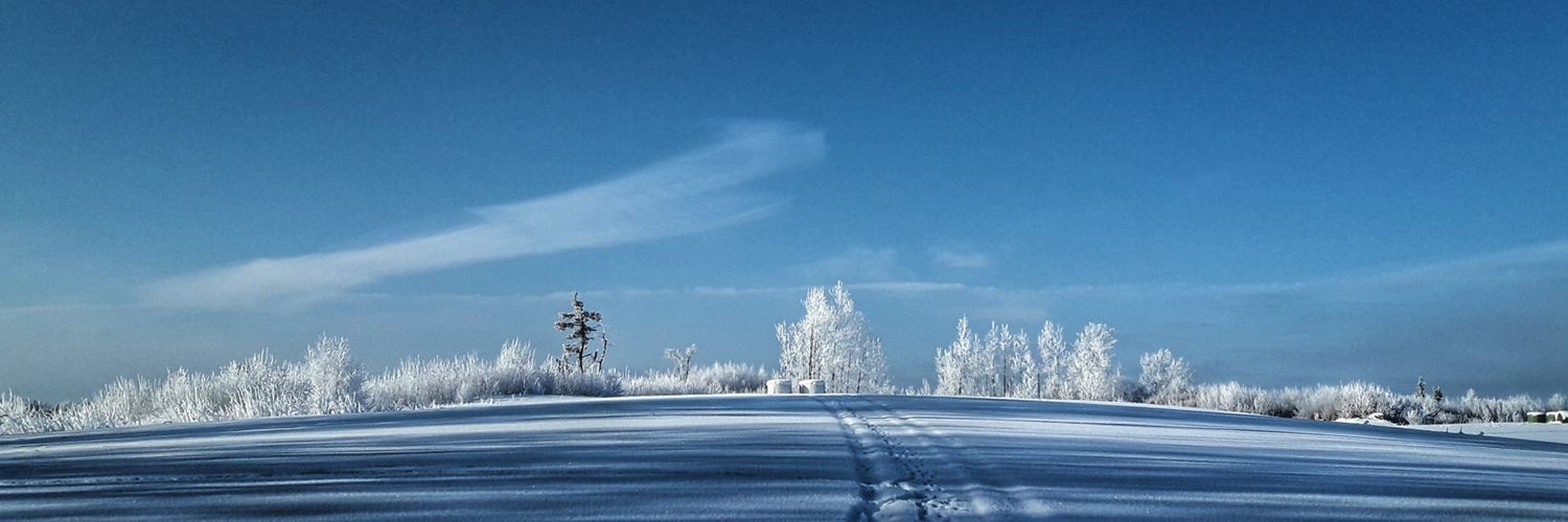 KrischaKrisch's profile banner image
