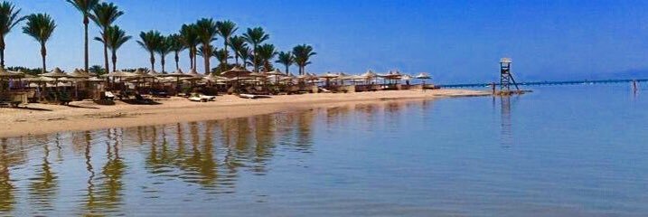 Maggiesharm's profile banner image