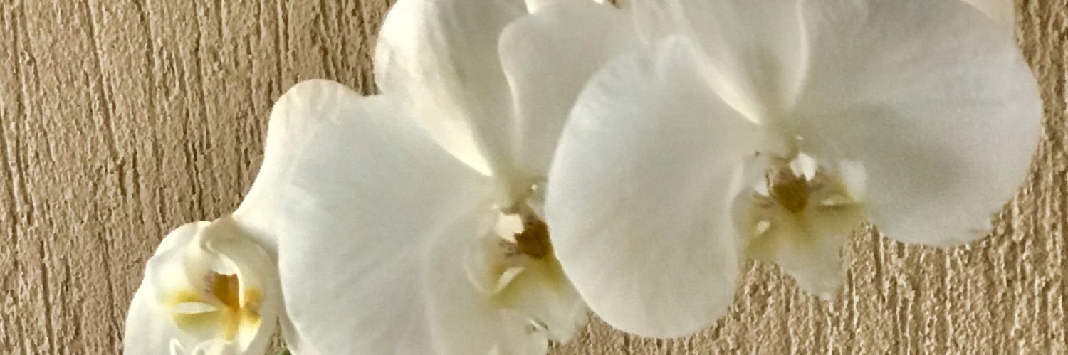 mcscpiu's profile banner image