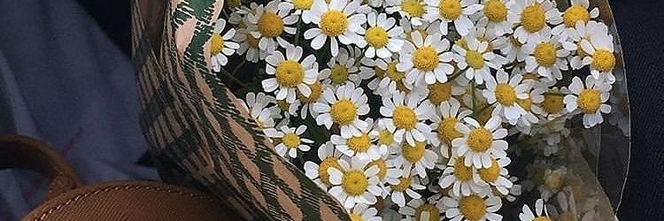 egiargnsa's profile banner image
