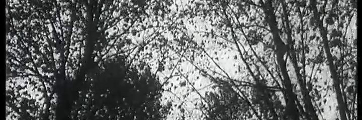 vhsample's profile banner image