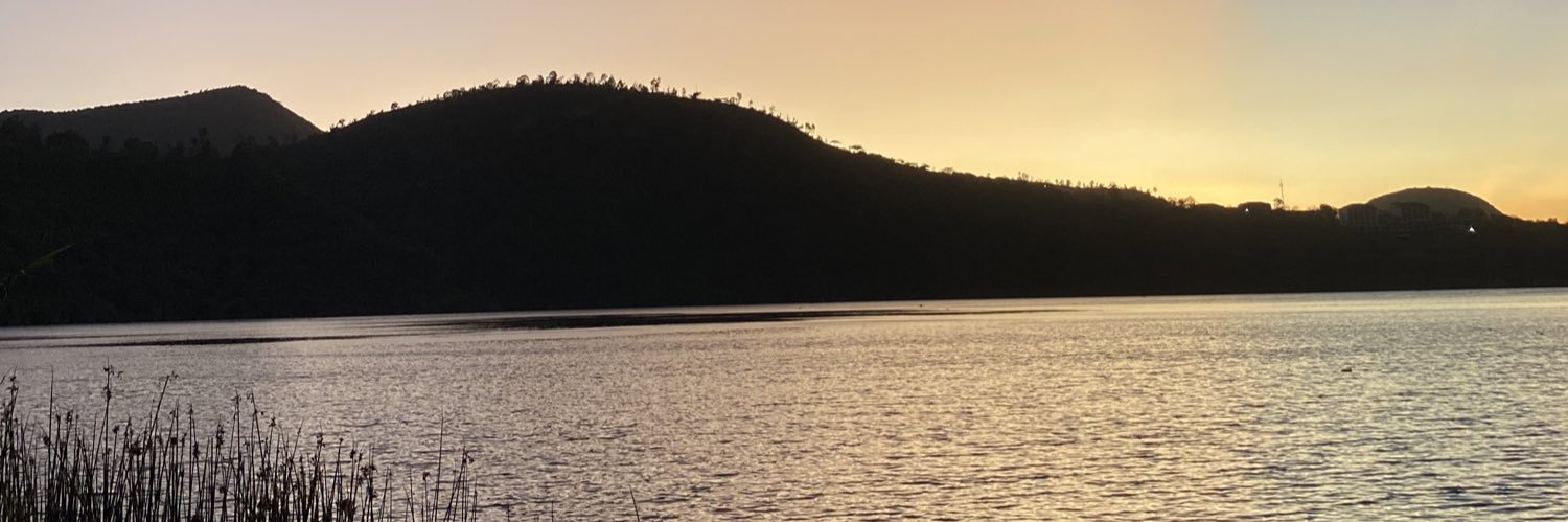 M3t1_g's profile banner image