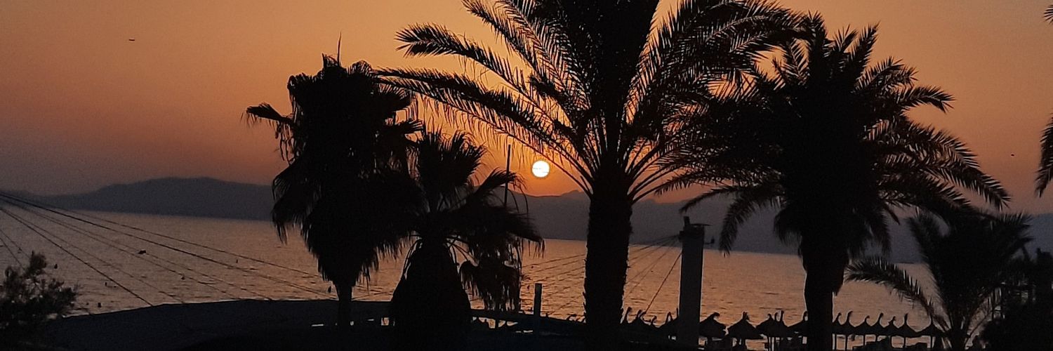 Miha_Elaa's profile banner image