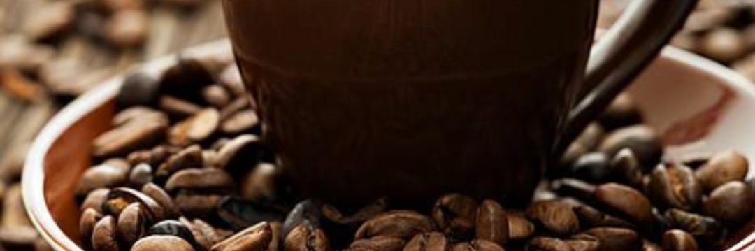 foqaha's profile banner image