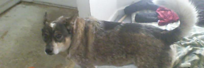 ingx24's profile banner image
