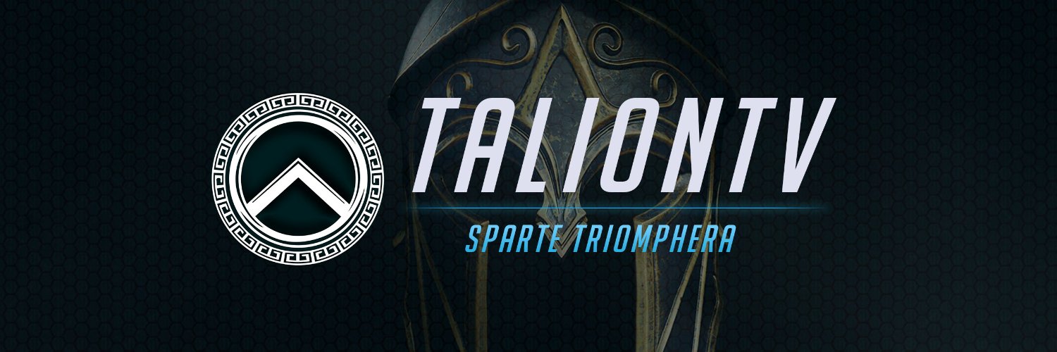Talion banner