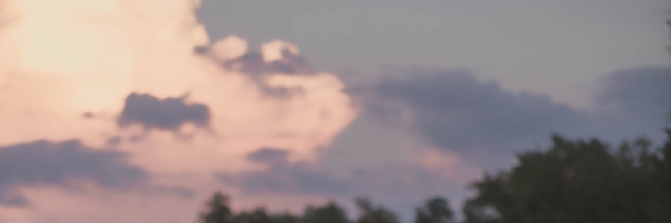 PearArisara's profile banner image