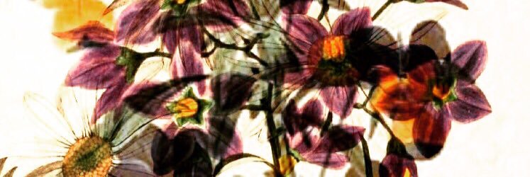 LeaM2803's profile banner image
