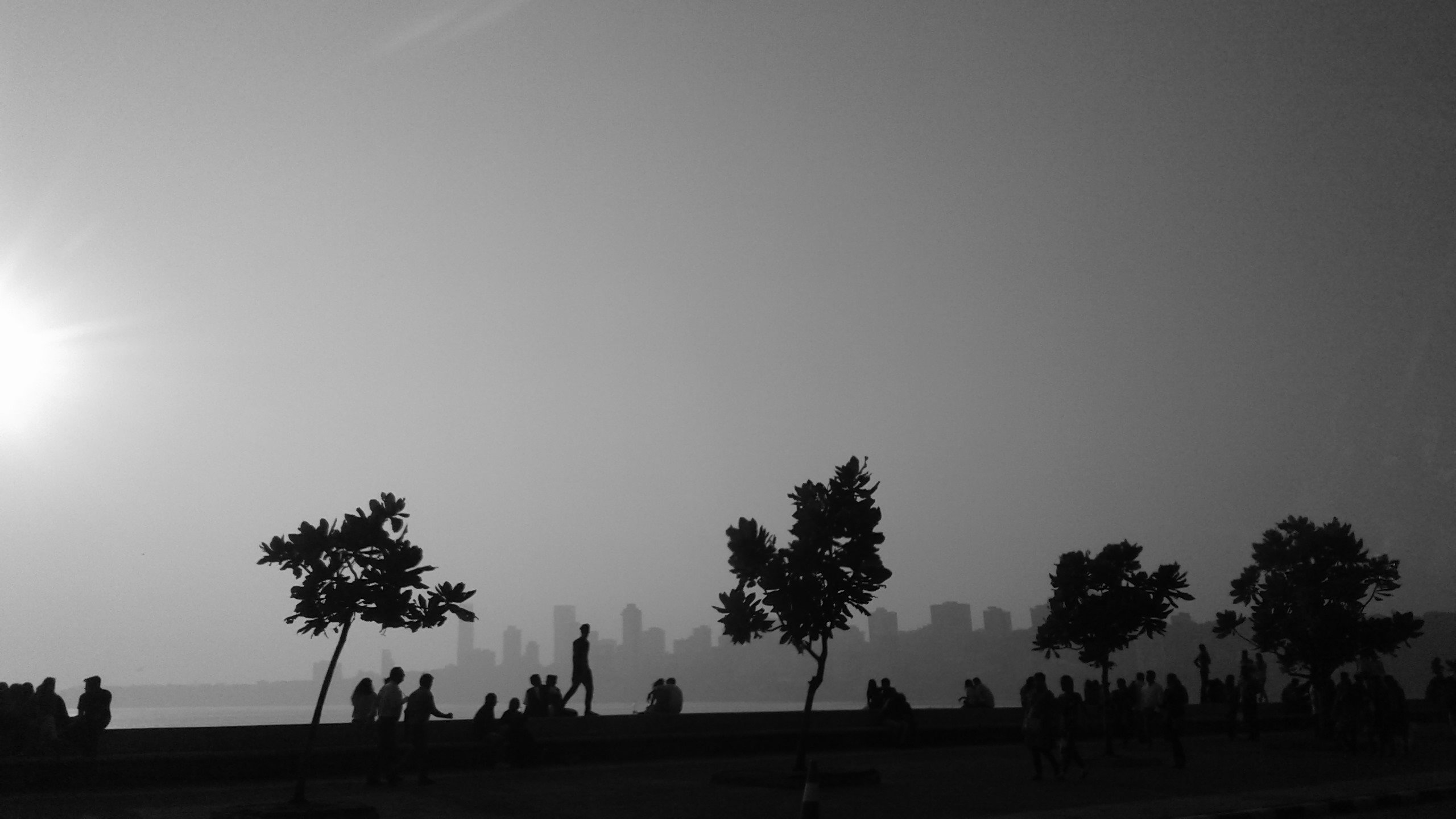 Nayaab_M's profile banner image