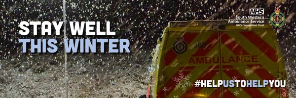 swasFT Profile Banner