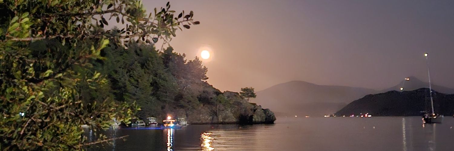NCAPAROGLU's profile banner image