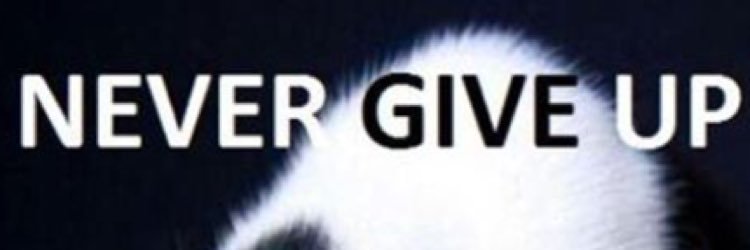 cwaid4's profile banner image