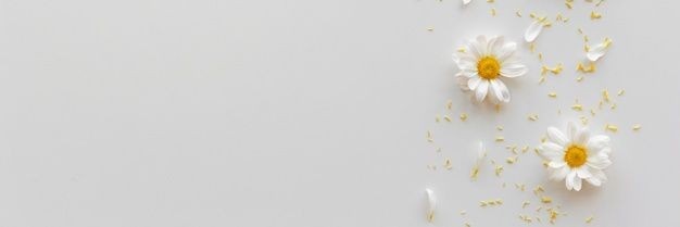 oo__s96's profile banner image