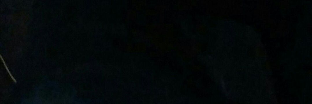 adaadaajee's profile banner image